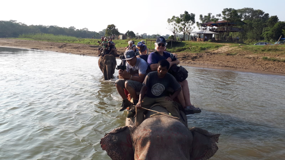 Chitwan Elefanten