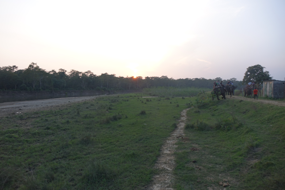 Chitwan Elefanten