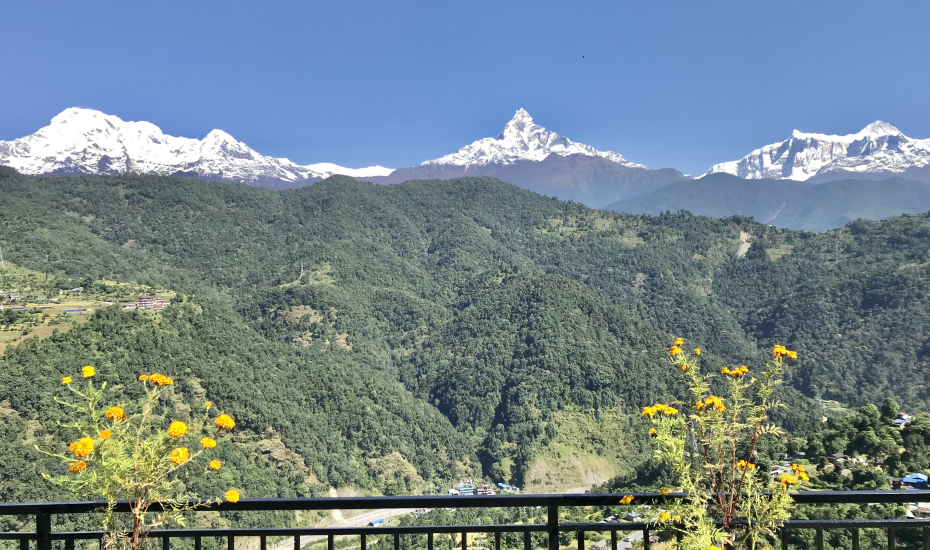 Himalayan View Restaurant