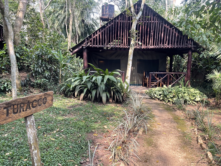 Kibale Forest Camp